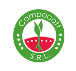 campocatt