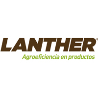 lanther